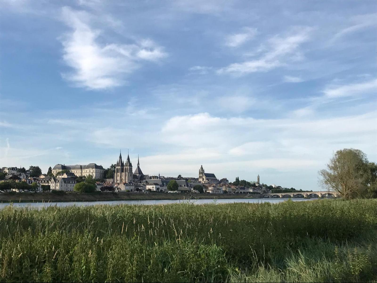 Quai De La Loire Daire Blois Dış mekan fotoğraf