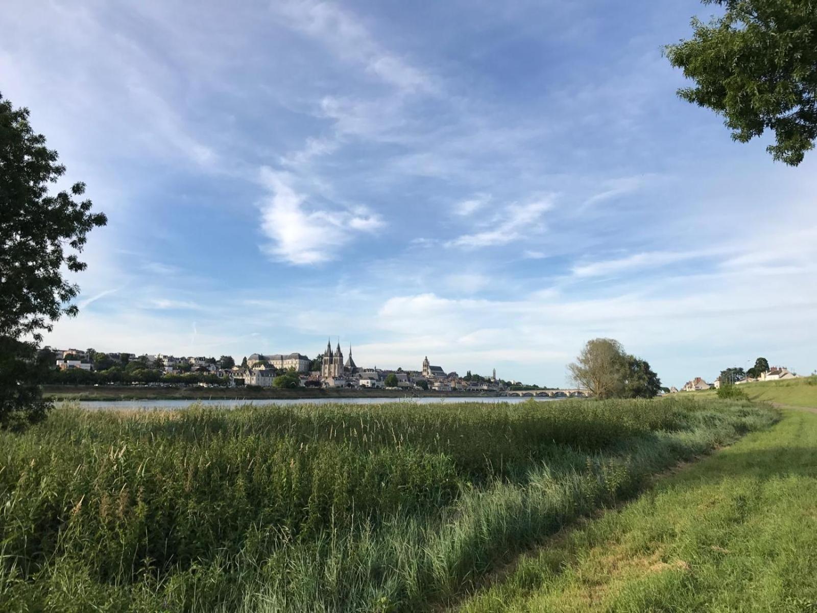 Quai De La Loire Daire Blois Dış mekan fotoğraf