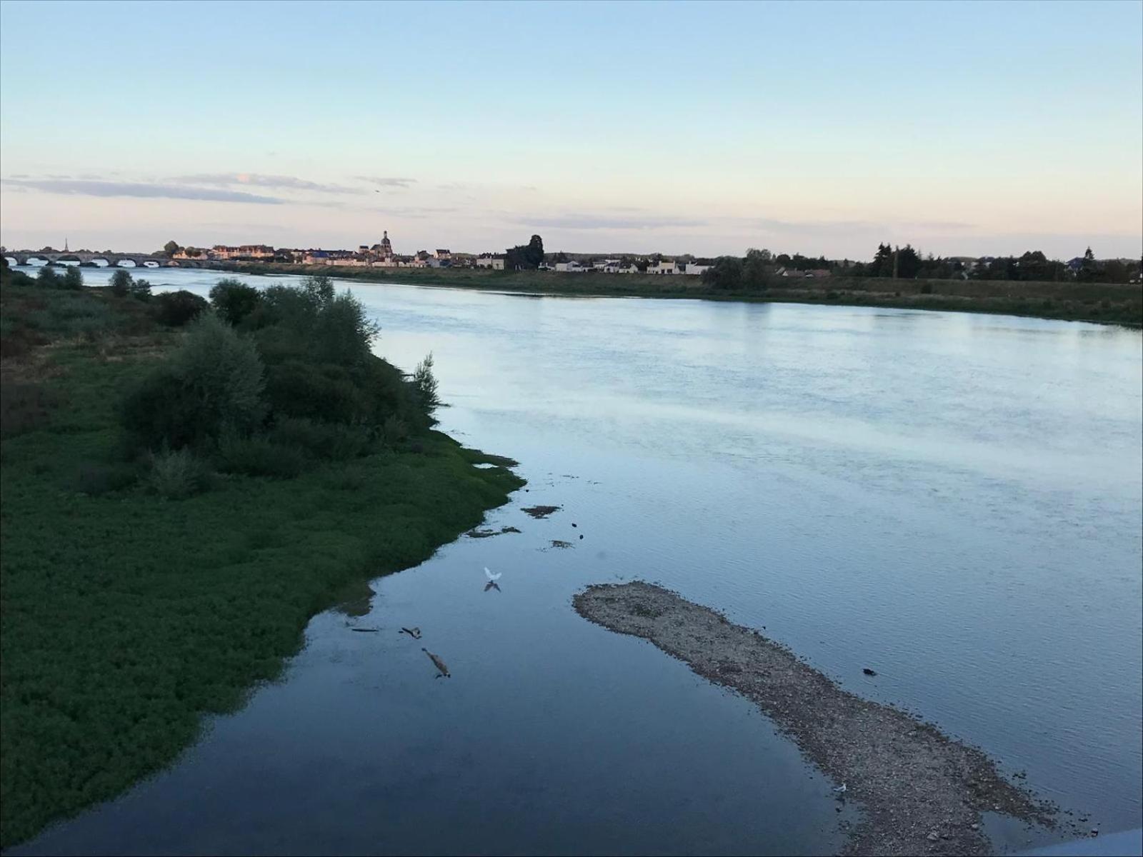 Quai De La Loire Daire Blois Dış mekan fotoğraf