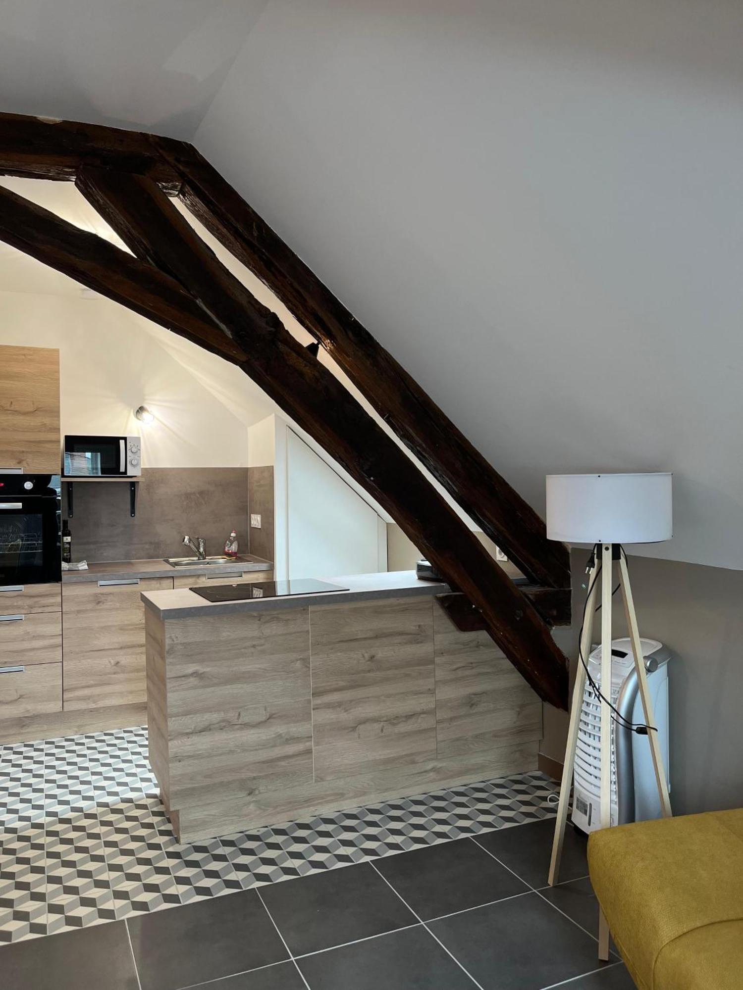 Quai De La Loire Daire Blois Dış mekan fotoğraf