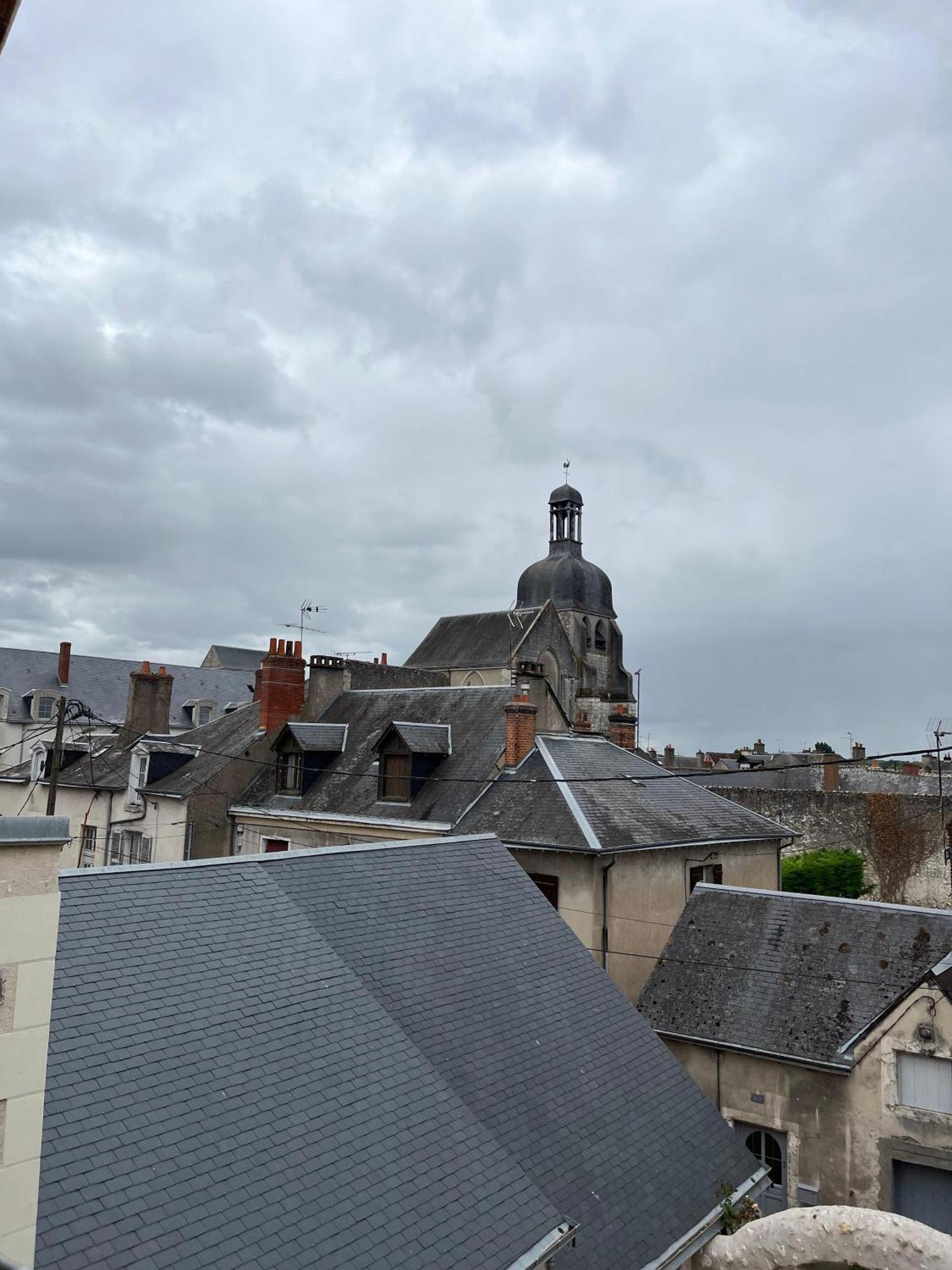 Quai De La Loire Daire Blois Dış mekan fotoğraf