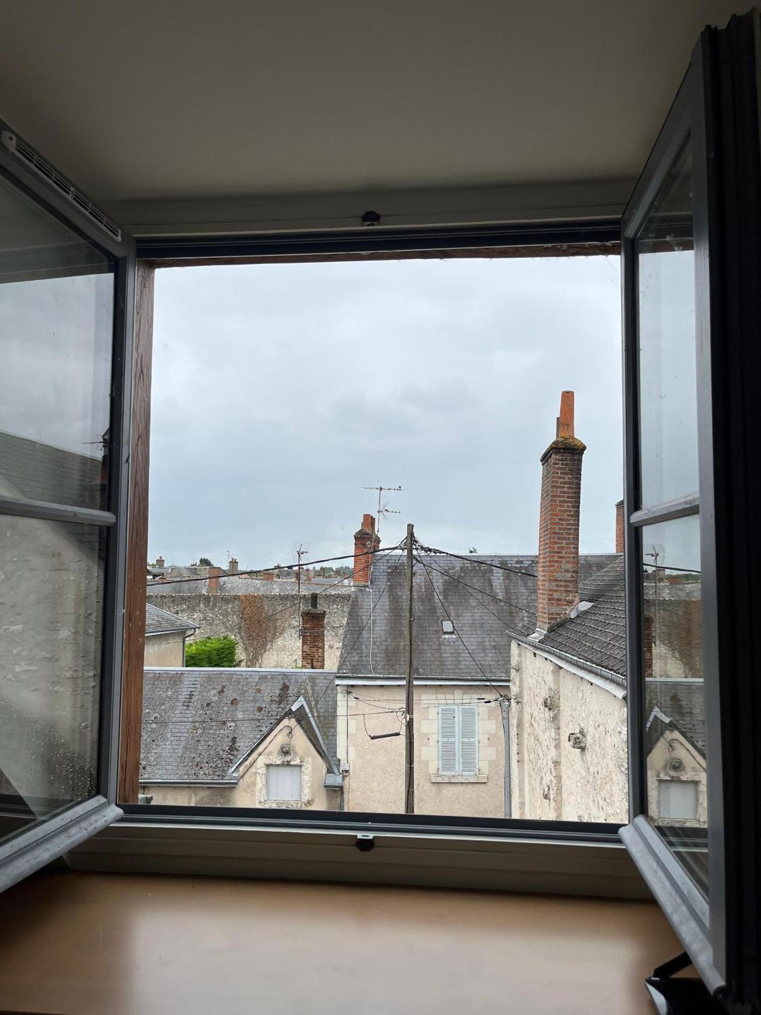 Quai De La Loire Daire Blois Dış mekan fotoğraf
