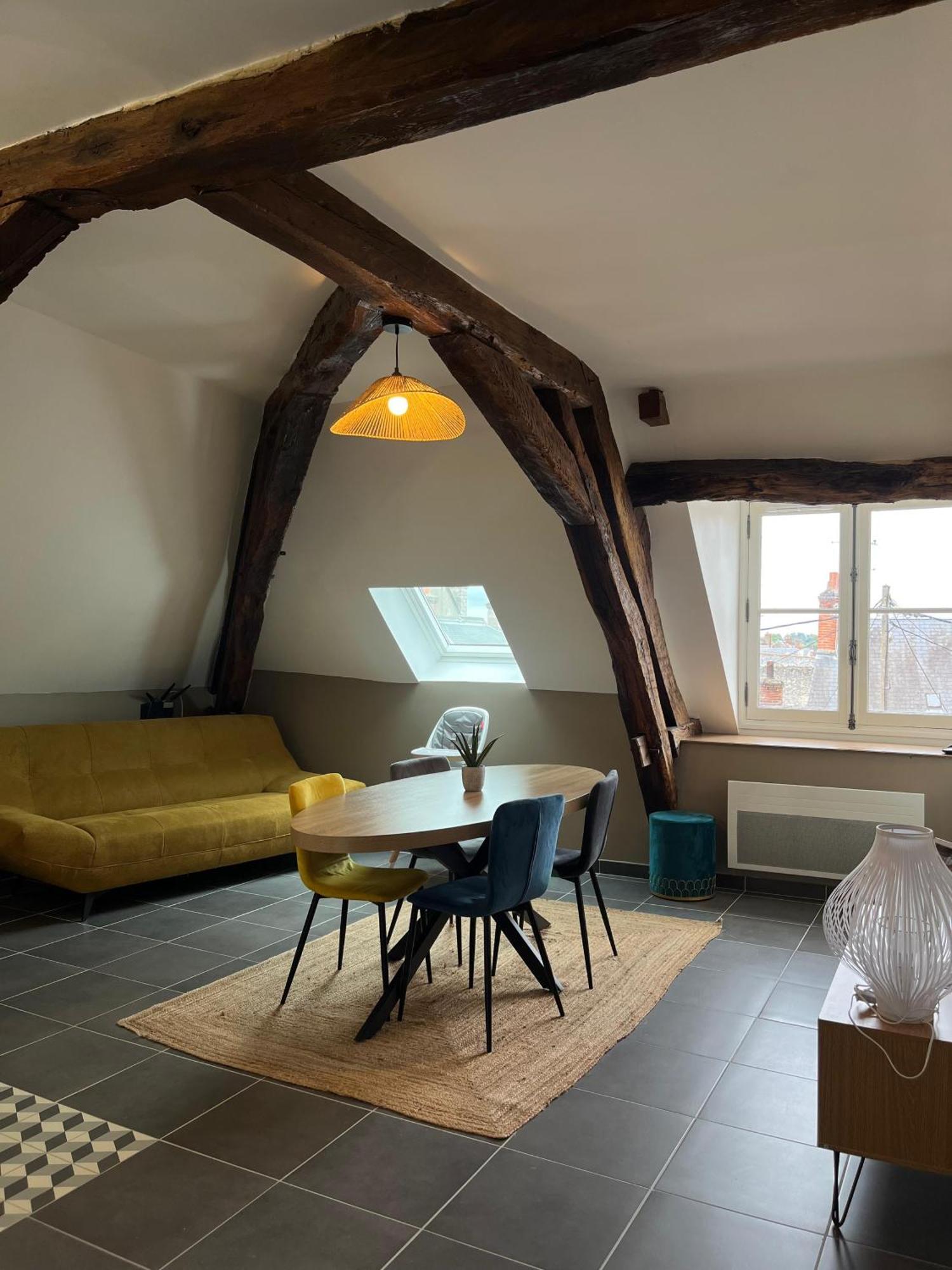 Quai De La Loire Daire Blois Dış mekan fotoğraf