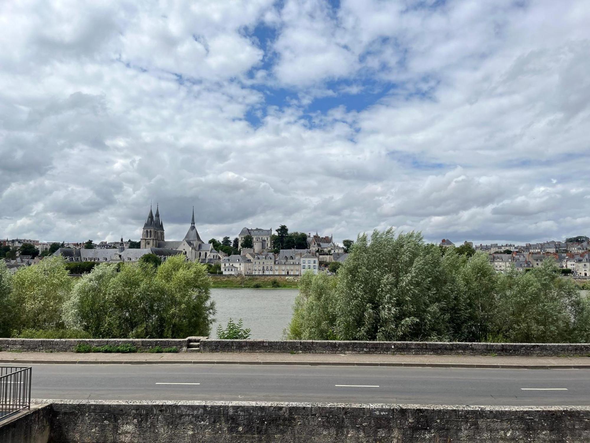 Quai De La Loire Daire Blois Dış mekan fotoğraf