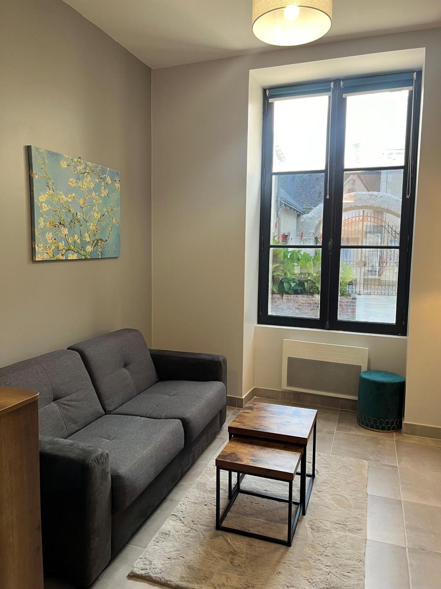 Quai De La Loire Daire Blois Dış mekan fotoğraf