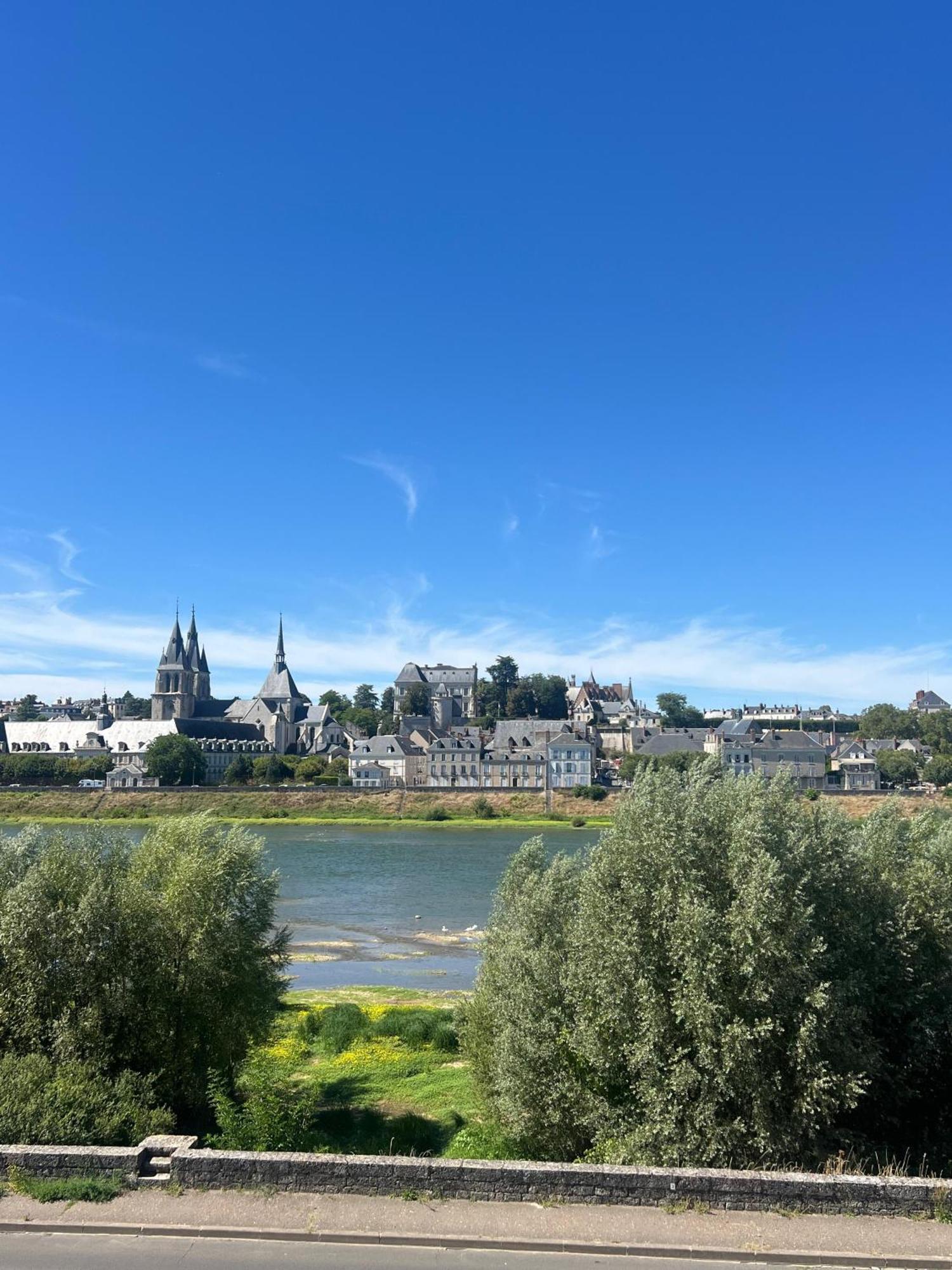 Quai De La Loire Daire Blois Dış mekan fotoğraf