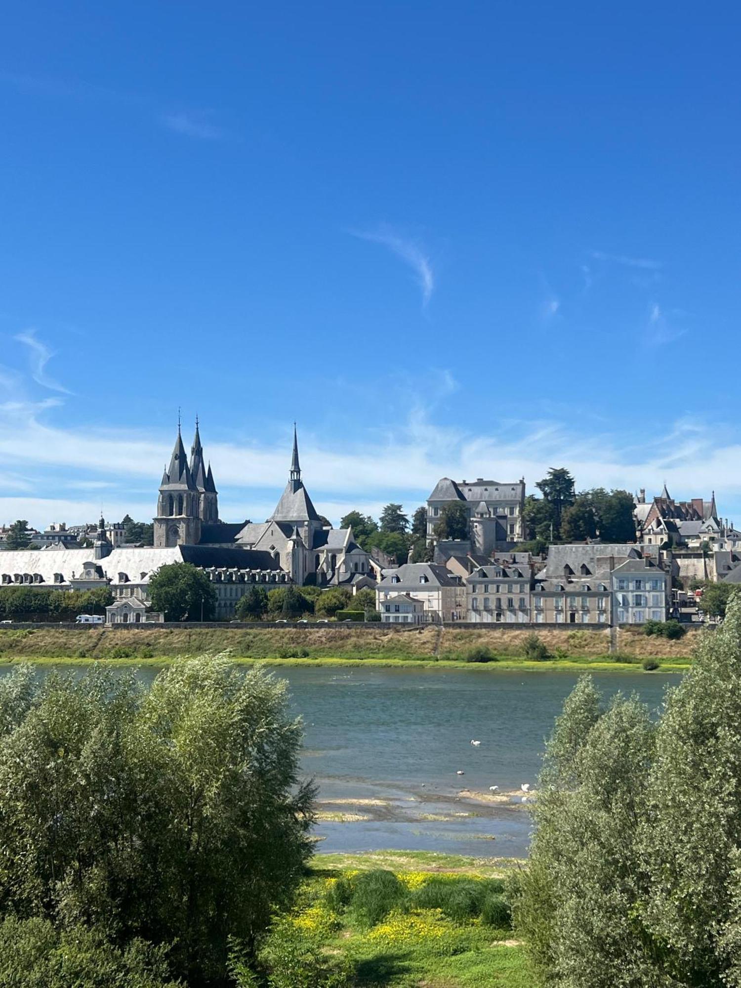 Quai De La Loire Daire Blois Dış mekan fotoğraf