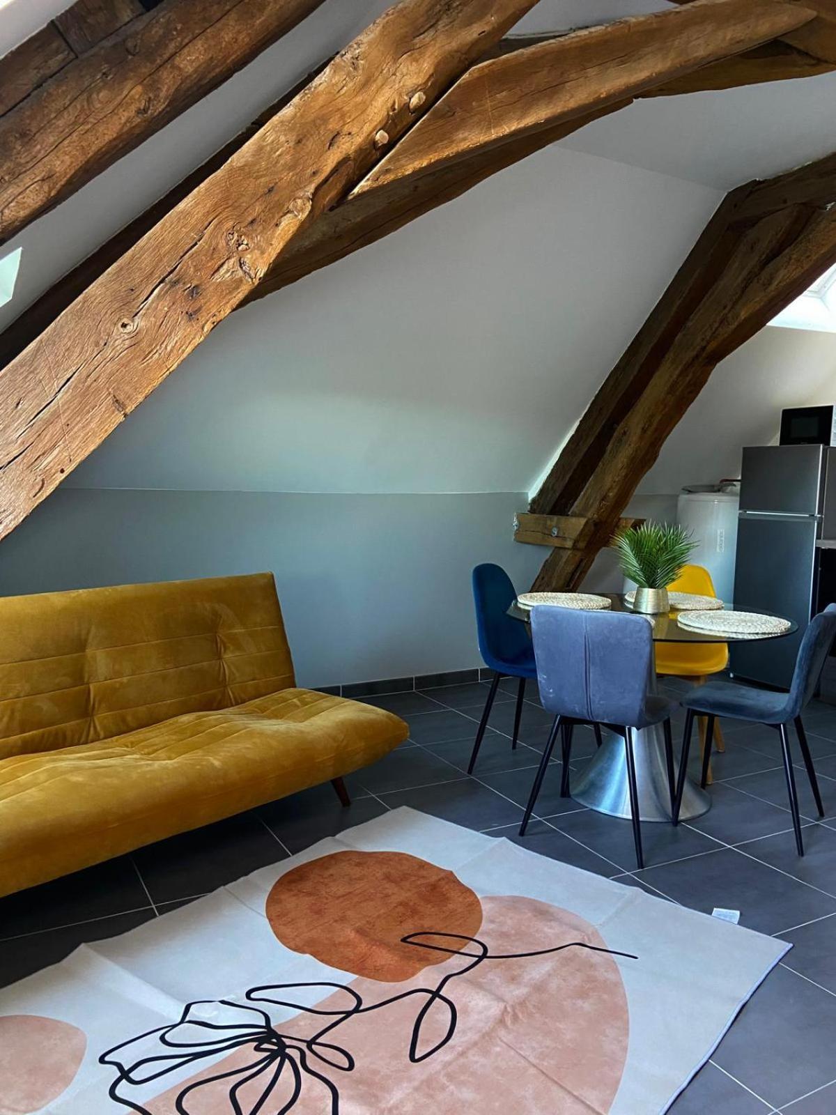 Quai De La Loire Daire Blois Dış mekan fotoğraf